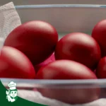 Shandy's Catering - Telur Merah